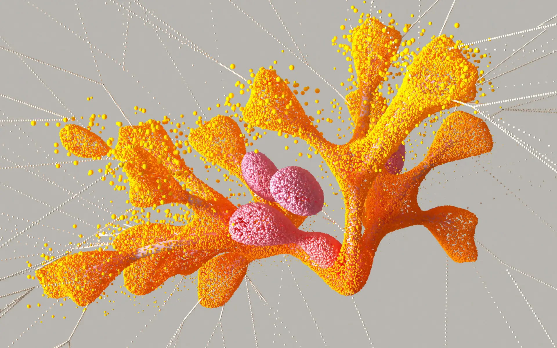 Branching orange and pink particle sculpture crossed by fine connecting lines